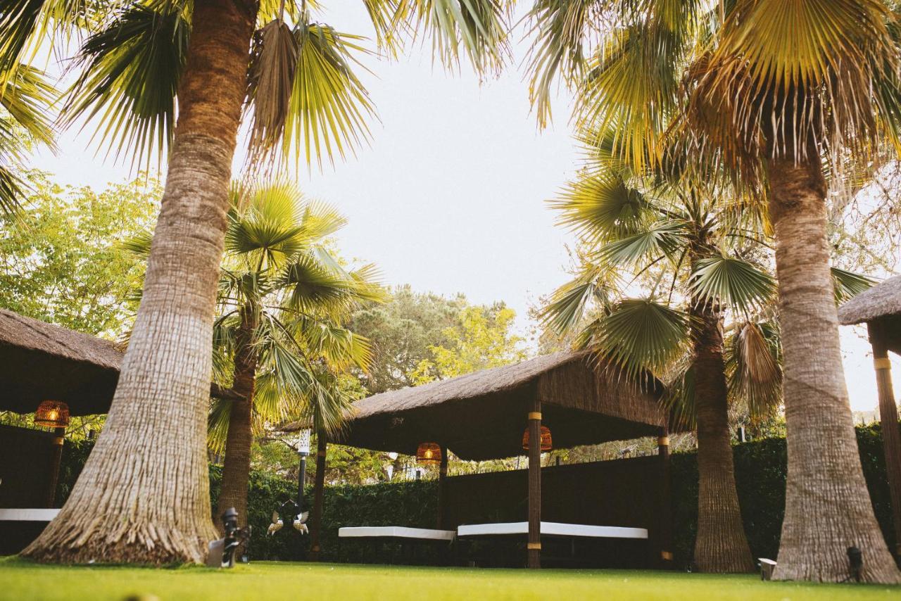 Caribbean Home モンカダ・イ・レイシャク エクステリア 写真